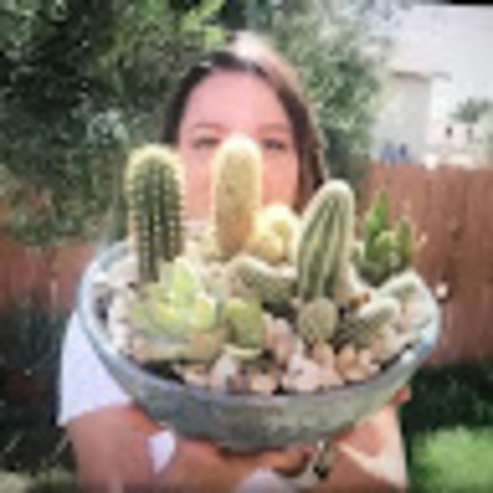 Meet your Posher, Judith plantaría